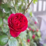 La Cour Marmion וילה