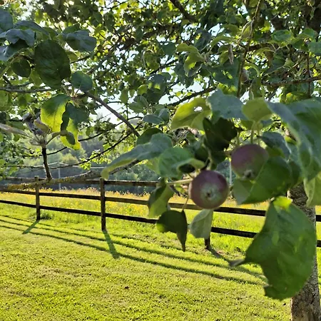 Βίλα La Cour Marmion