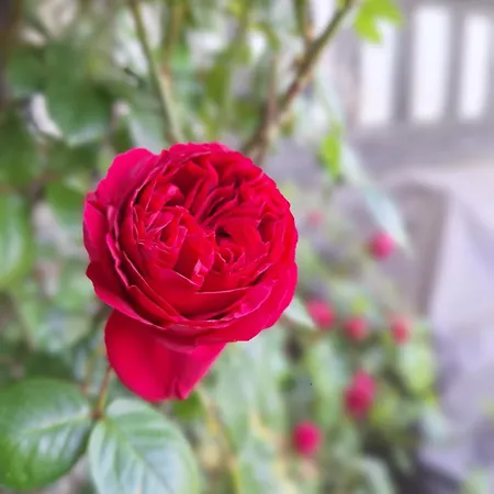 La Cour Marmion Βίλα