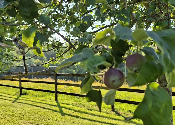 Villa La Cour Marmion