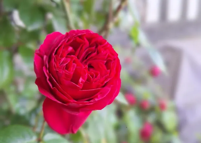 La Cour Marmion Villa